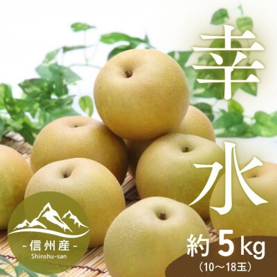 【信州産】幸水梨　秀品　約5kg(10～18玉入り)　8月下旬から順次発送