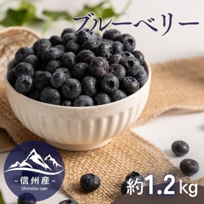 【信州産】ブルーベリー　約1.2kg(100g×12パック)　6月下旬から順次発送