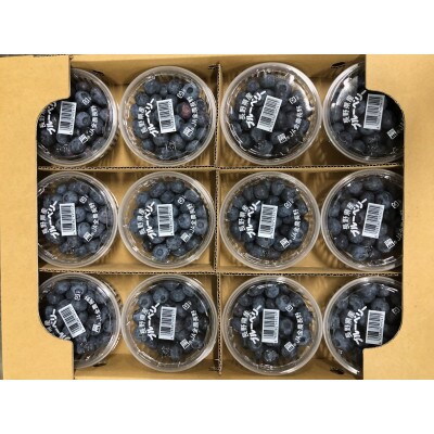 【信州産】ブルーベリー　約1.2kg(100g×12パック)　6月下旬から順次発送