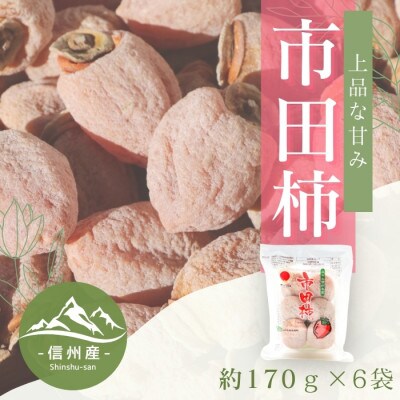 【南信州産】市田柿　家庭用　約170g×6袋