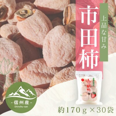 【南信州産】市田柿　家庭用　約170g×30袋