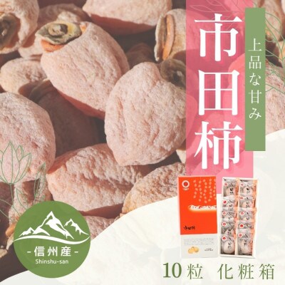 【南信州産】市田柿　個包装・化粧箱　約280g(約28g×10粒入り)