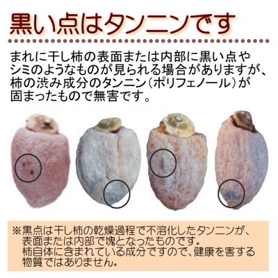 【南信州産】市田柿　訳あり　約1kg(約500g×2袋)
