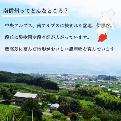 【信州産】　ドライフルーツ　9種詰め合わせセット