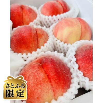 【さとふる限定】信州ハピネスフルーツの『桃』約5kg　家庭用・味は贈答品
