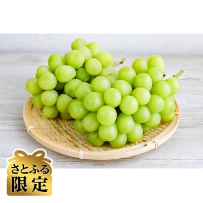 【さとふる限定】信州ハピネスフルーツ　シャインマスカット3房1.2kg超【家庭用】