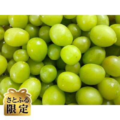 【さとふる限定】信州ハピネスフルーツ　シャインマスカット粒1kg(500g×2PC)