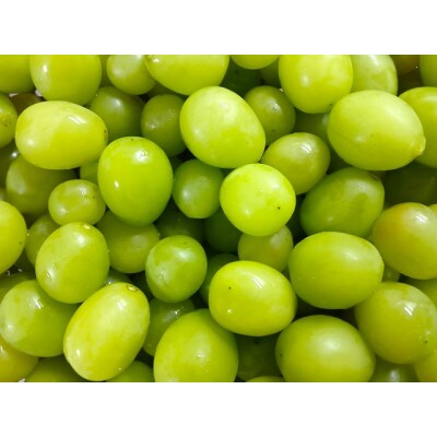 【さとふる限定】信州ハピネスフルーツシャインマスカット1房500g&粒500g