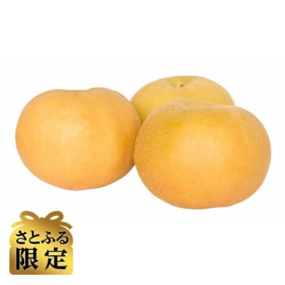 【さとふる限定】信州ハピネスフルーツ極み南水2kg〈秋季限定〉高級梨