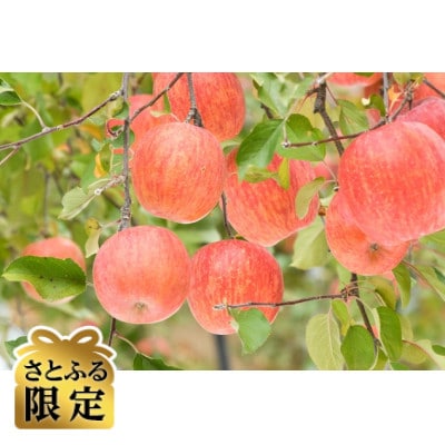 【さとふる限定】信州ハピネスフルーツ厳選サンふじ 3kg【贈答用】蜜入りりんご