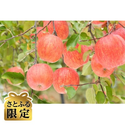 【さとふる限定】信州ハピネスフルーツ『サンふじ』5kg【訳あり】家庭用・蜜入りりんご