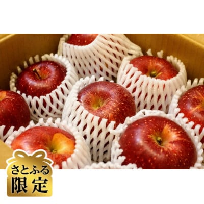 【さとふる限定】信州ハピネスフルーツ厳選*旬のりんご2種食べ比べ3kgセット