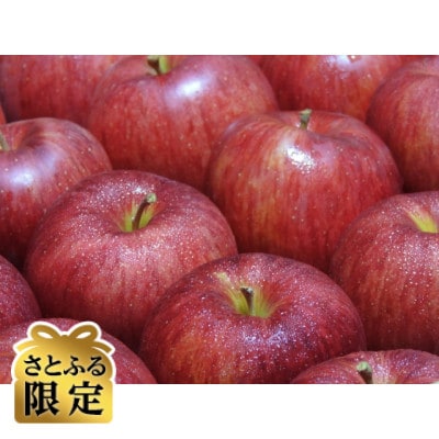 【さとふる限定】信州ハピネスフルーツ『 シナノスイート』 5kg 家庭用 甘く香る