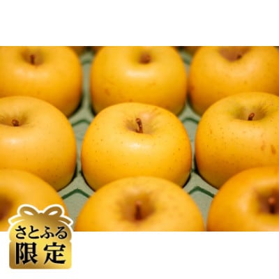 【さとふる限定】信州ハピネスフルーツ『 シナノゴールド』【家庭用】5kg 香り爽やか