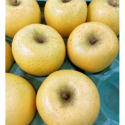 【さとふる限定】信州ハピネスフルーツ『 シナノゴールド』【家庭用】5kg 香り爽やか