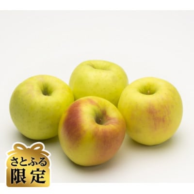 【さとふる限定】信州ハピネスフルーツ 極上ぐんま名月 3kg 蜜香るりんご【贈答用】