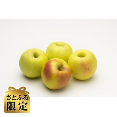 【さとふる限定】信州ハピネスフルーツ『ぐんま名月』5kg【家庭用・味は贈答品】