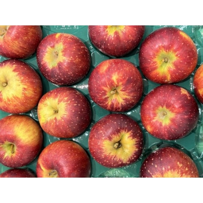 【さとふる限定】信州ハピネスフルーツ『りんご2種』食べ比べ5kg【家庭用味は贈答品】