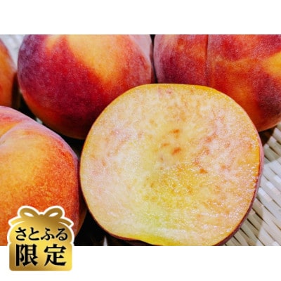 【さとふる限定】訳あり信州ワッサー4kg(サク甘新食感の夏果実)