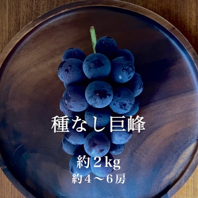 【長野県産】種なし巨峰 約2kg(約4～6房)わだぶどう【2026年発送】