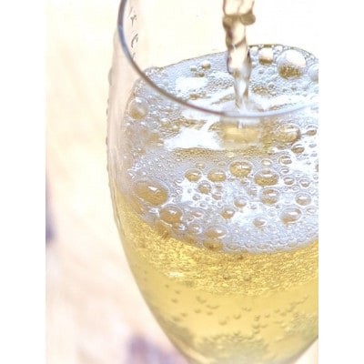 季節のりんご5玉と微アル発酵サイダー330mlセット