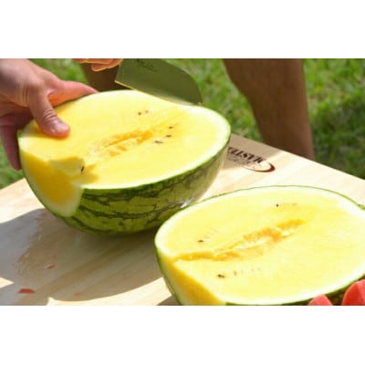 高級黄色すいか 金色羅王　計2～3L 1個