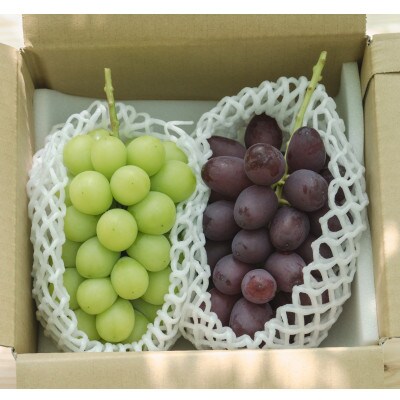 匠の旬ぶどうおまかせ便 1kg|シャインマスカットと旬のおまかせ品種が楽しめる、長野の旬の詰合せ。
