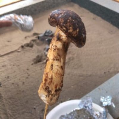 松茸　約100g