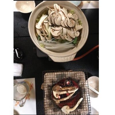 松茸　約400g