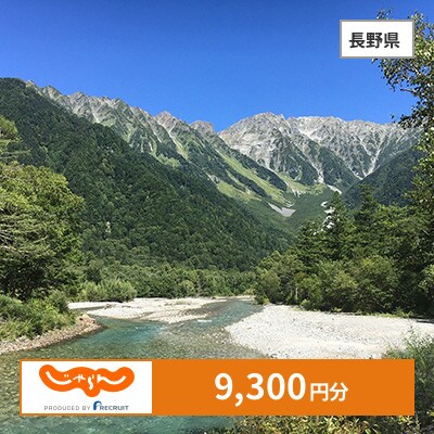 【じゃらんふるさと納税クーポン】 長野県でつかえる9,300円 クーポン