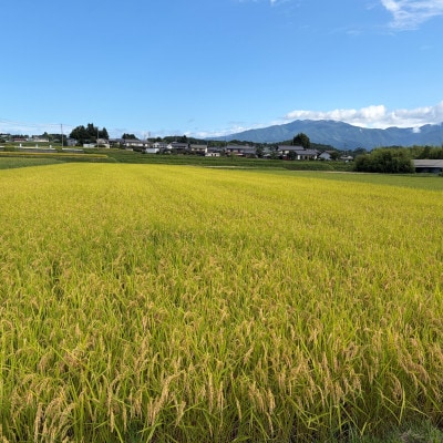 【ミシュラン店が選ぶ】坐kura 純米吟醸 山恵錦 火入れ　720ml