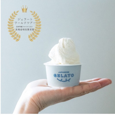 wabisabiyaのジェラート6個