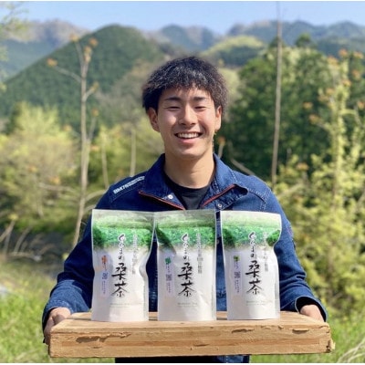 【ぐんまの桑茶】パウダータイプ・緑茶タイプ・ほうじ茶タイプ　ギフトセット
