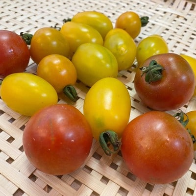 新鮮野菜5品～7品詰め合わせ