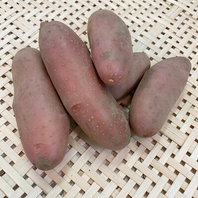 新鮮野菜5品～7品詰め合わせ