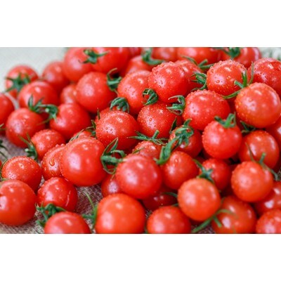 ミニトマト 1kgの人気商品 通販 価格比較 価格 Com