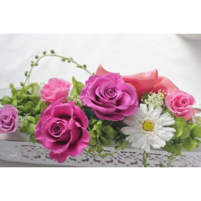 プリザーブドフラワーのナチュラルなインテリアフラワー ジャルダンガーベラ ピンク系 お礼品詳細 ふるさと納税なら さとふる