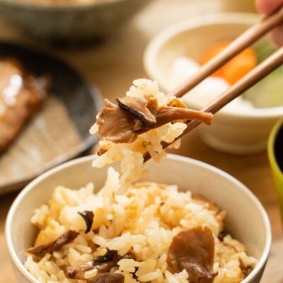 【1合用】森のきのこご飯の素16袋(4種×4)セット/炊き込みご飯の素/国産きのこ入り/贈答・ギフト