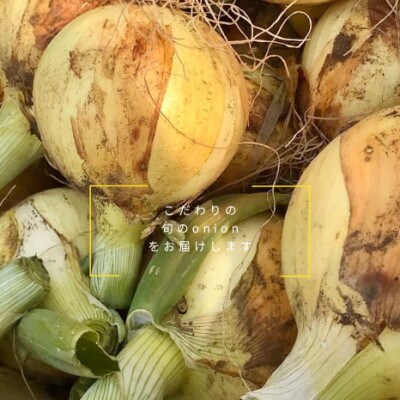 辛み・えぐみが少なく甘さ際立つ生でも美味しく食べられる“たまねぎ”10kg