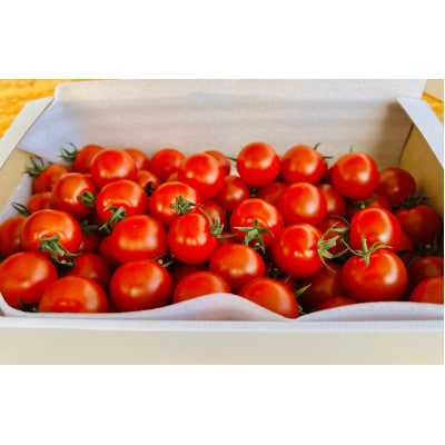 高糖度ミニトマト1kg