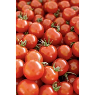 【さとふる限定】芳醇高糖度ミニトマトの贅沢ジャム140g×3個