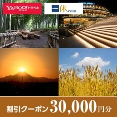 【東京都東久留米市】一休.com・Yahoo!トラベル割引クーポン(30,000円分)