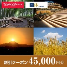 【東京都東久留米市】一休.com・Yahoo!トラベル割引クーポン(45,000円分)