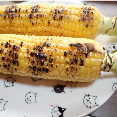 旬の野菜の収穫体験と採りたて野菜の料理講習(1グループ大人4名様または大人2名+子供3名様まで)