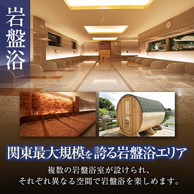 スパジアムジャポン　全日入浴無料券・岩盤浴無料券30枚セット