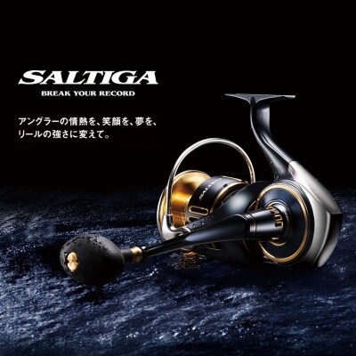 【釣具のダイワ】のスピニングリール 25ソルティガ 14000-P