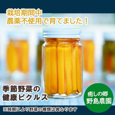 【東京都東久留米市】季節の野菜を詰め込んだ健康ピクルス 150g×1本