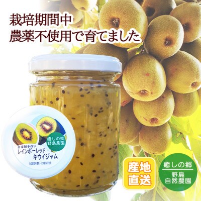 【東京都東久留米市】レインボーレッドキウイジャム 150g×1本 野島自然農園