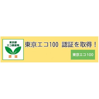 【東京都東久留米市】バジルソース 140g×1本 野島自然農園