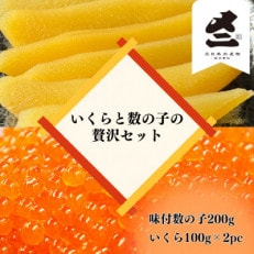 贅沢!北海道産魚卵セット!味付数の子200g&amp;いくら醤油漬け200g(100g&times;2)セット